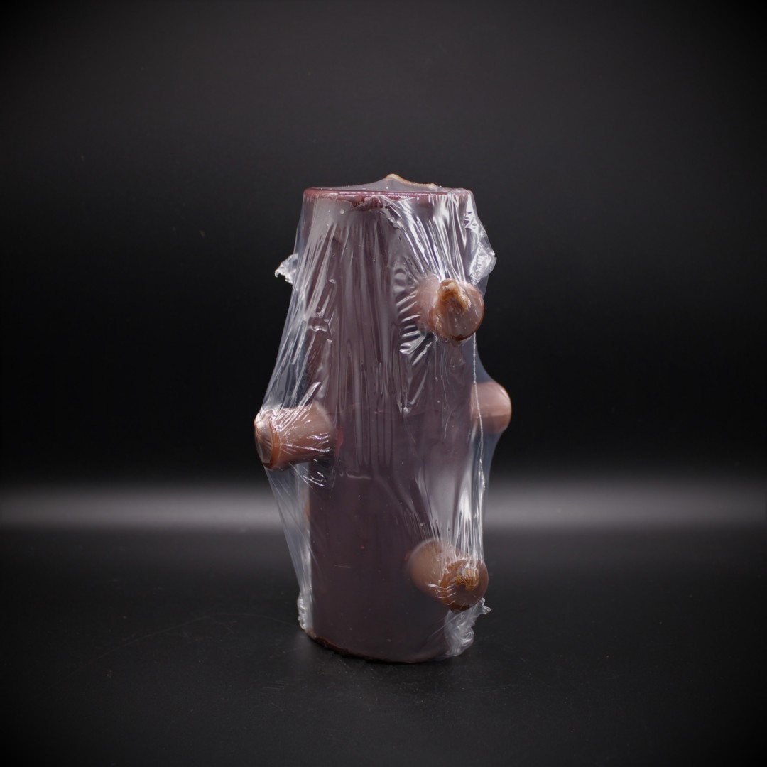 Velão 7 Mechas Castanho