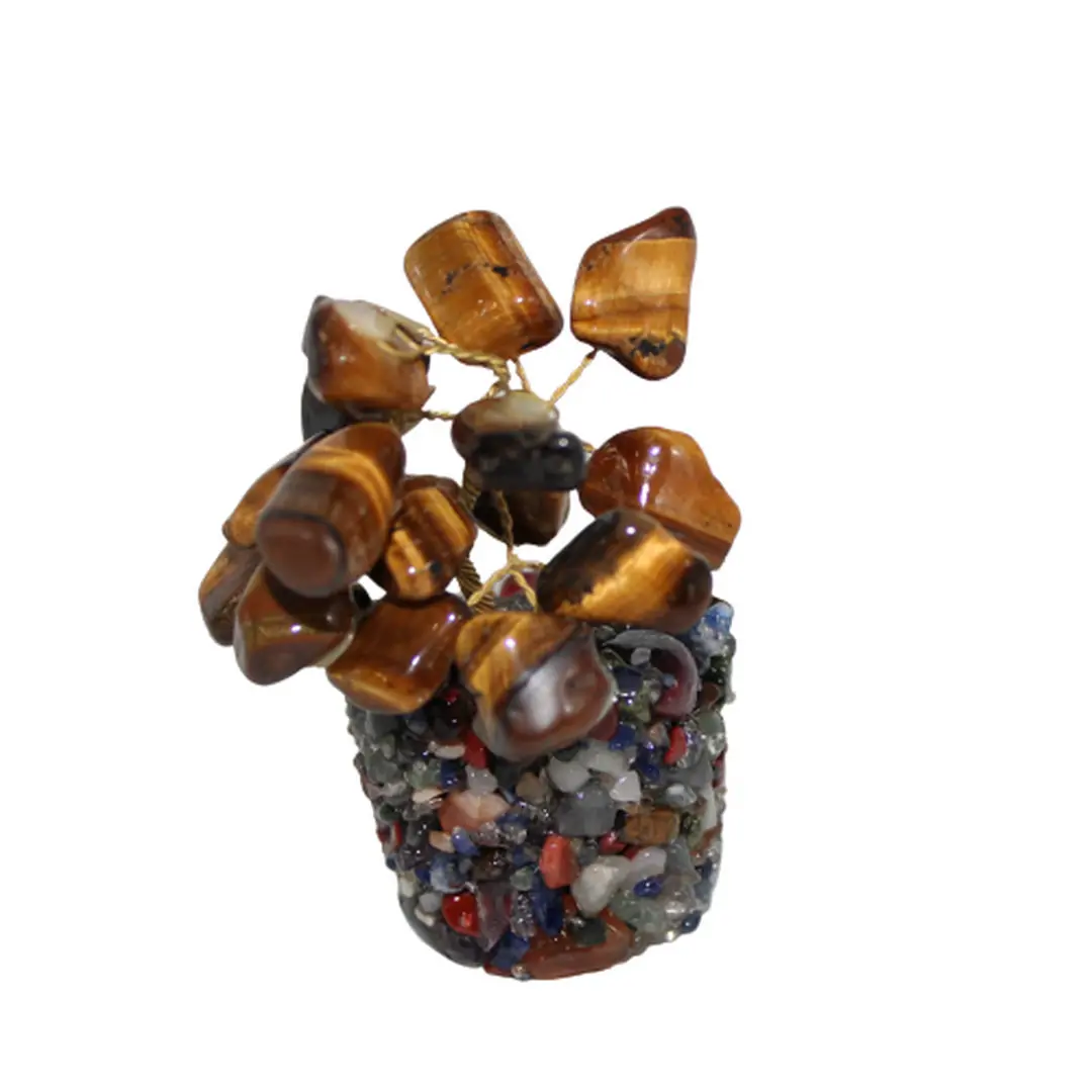 Arvore de Olho De Tigre