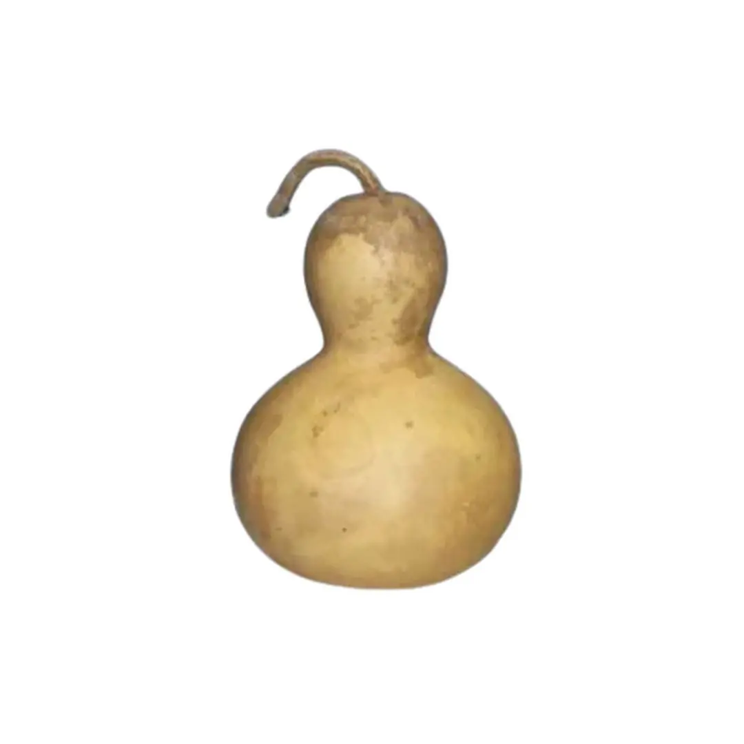 Cabaca Pequena 10-15 cm