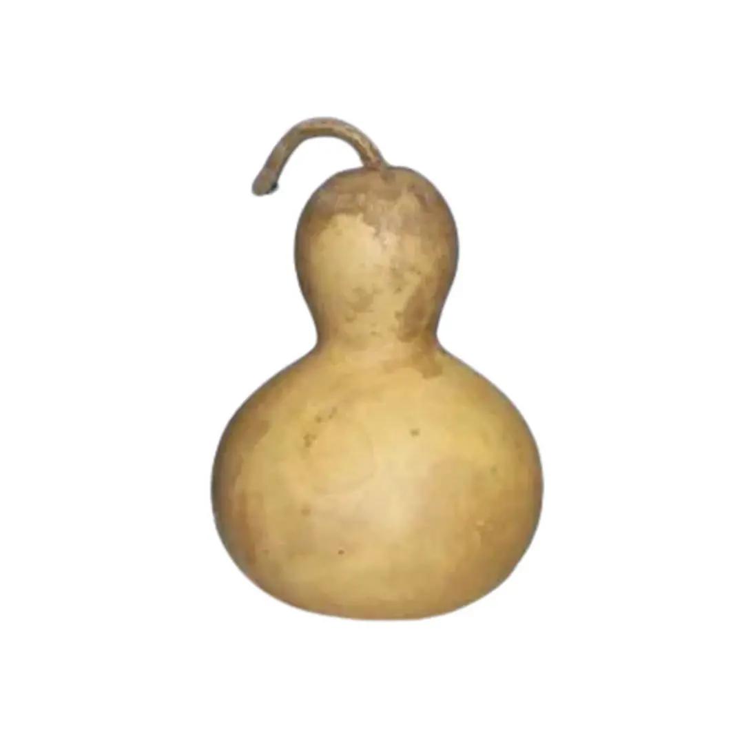 Cabaca Media 15-20 cm